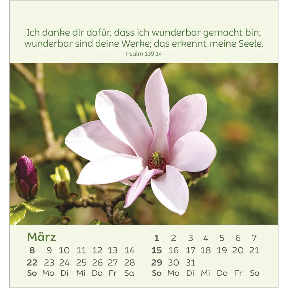 Bild: 9783754847060 | Kleine Blumengrüße 2026 | Kalender | Spiralbindung | 14 S. | Deutsch