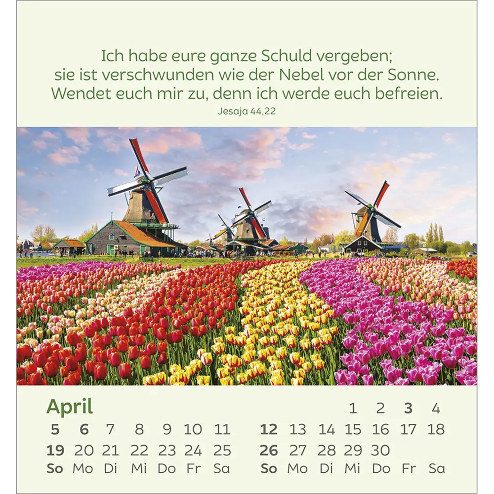 Bild: 9783754847060 | Kleine Blumengrüße 2026 | Kalender | Spiralbindung | 14 S. | Deutsch