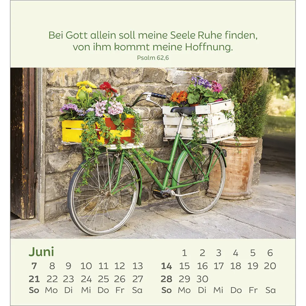 Bild: 9783754847060 | Kleine Blumengrüße 2026 | Kalender | Spiralbindung | 14 S. | Deutsch