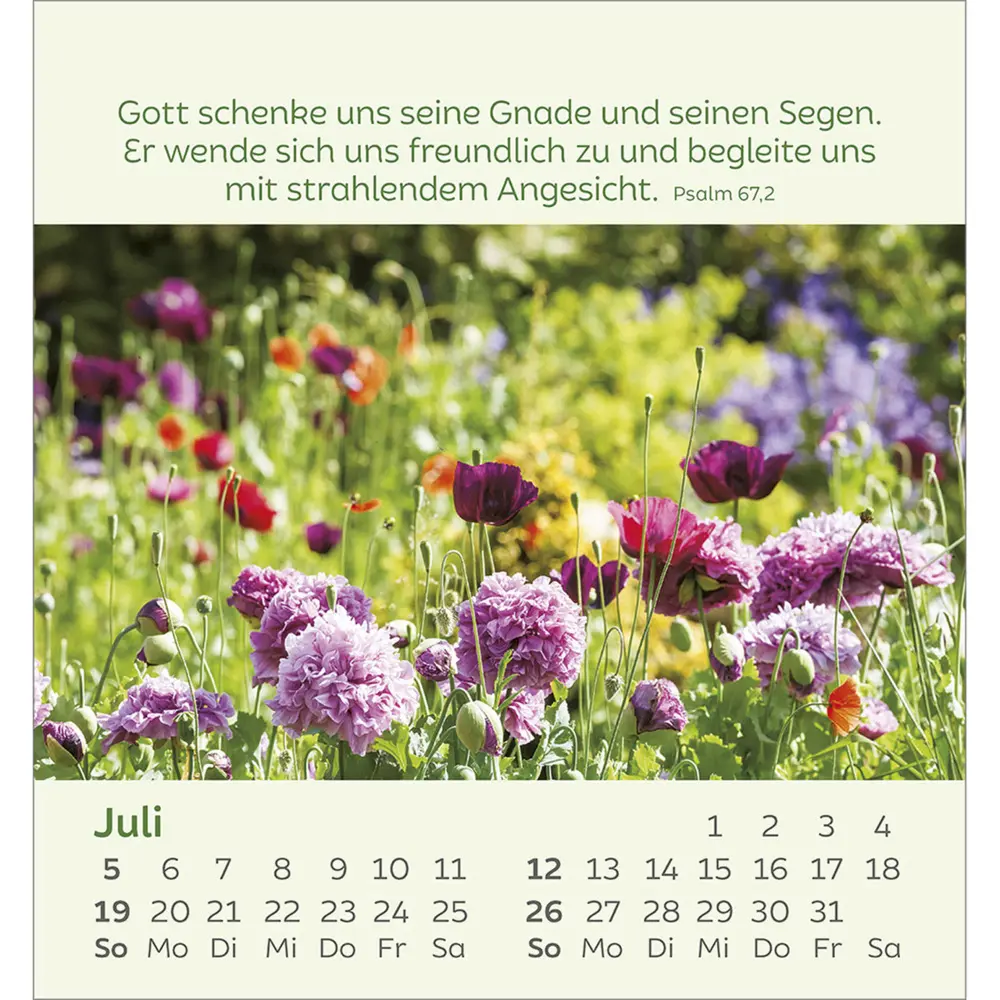 Bild: 9783754847060 | Kleine Blumengrüße 2026 | Kalender | Spiralbindung | 14 S. | Deutsch