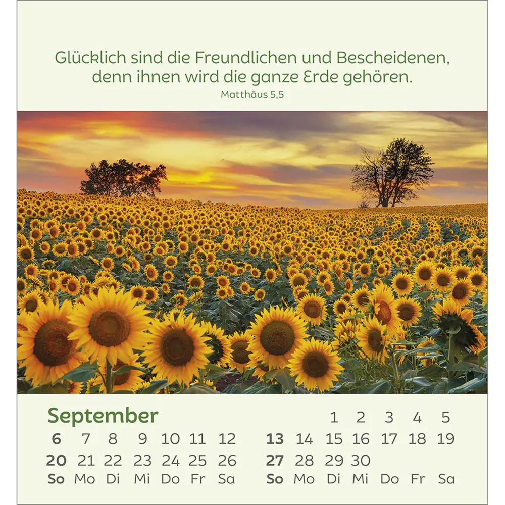 Bild: 9783754847060 | Kleine Blumengrüße 2026 | Kalender | Spiralbindung | 14 S. | Deutsch