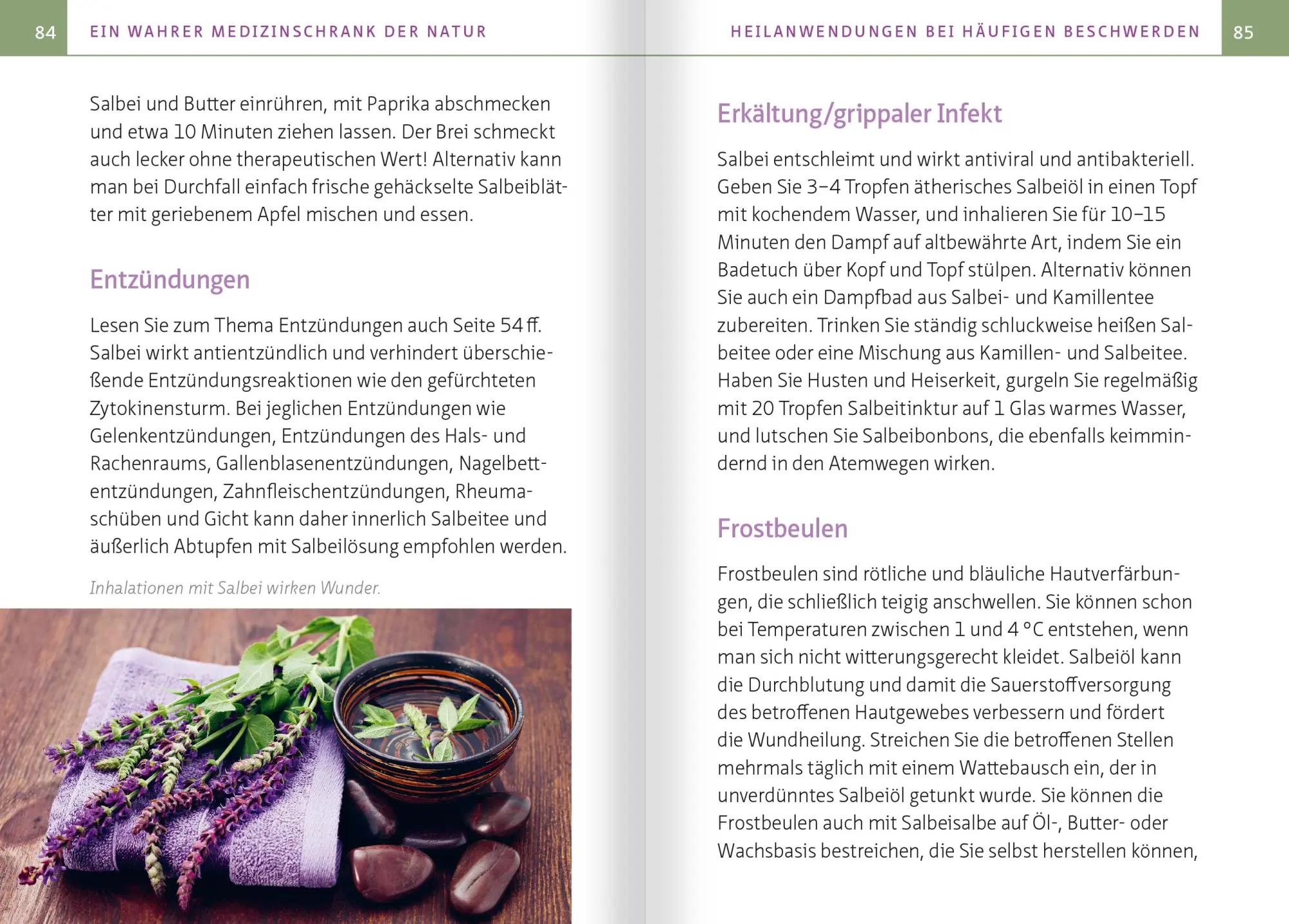 Bild: 9783863747060 | Salbei - Mutter aller Heilpflanzen. Kompakt-Ratgeber | Simonsohn