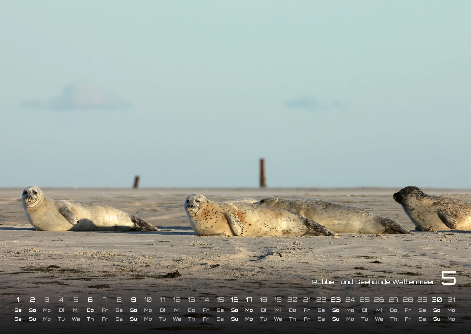 Bild: 9783986737160 | Nordsee - Küstenzauber - 2027 - Kalender DIN A3 | GP-Fever. de | 15 S.