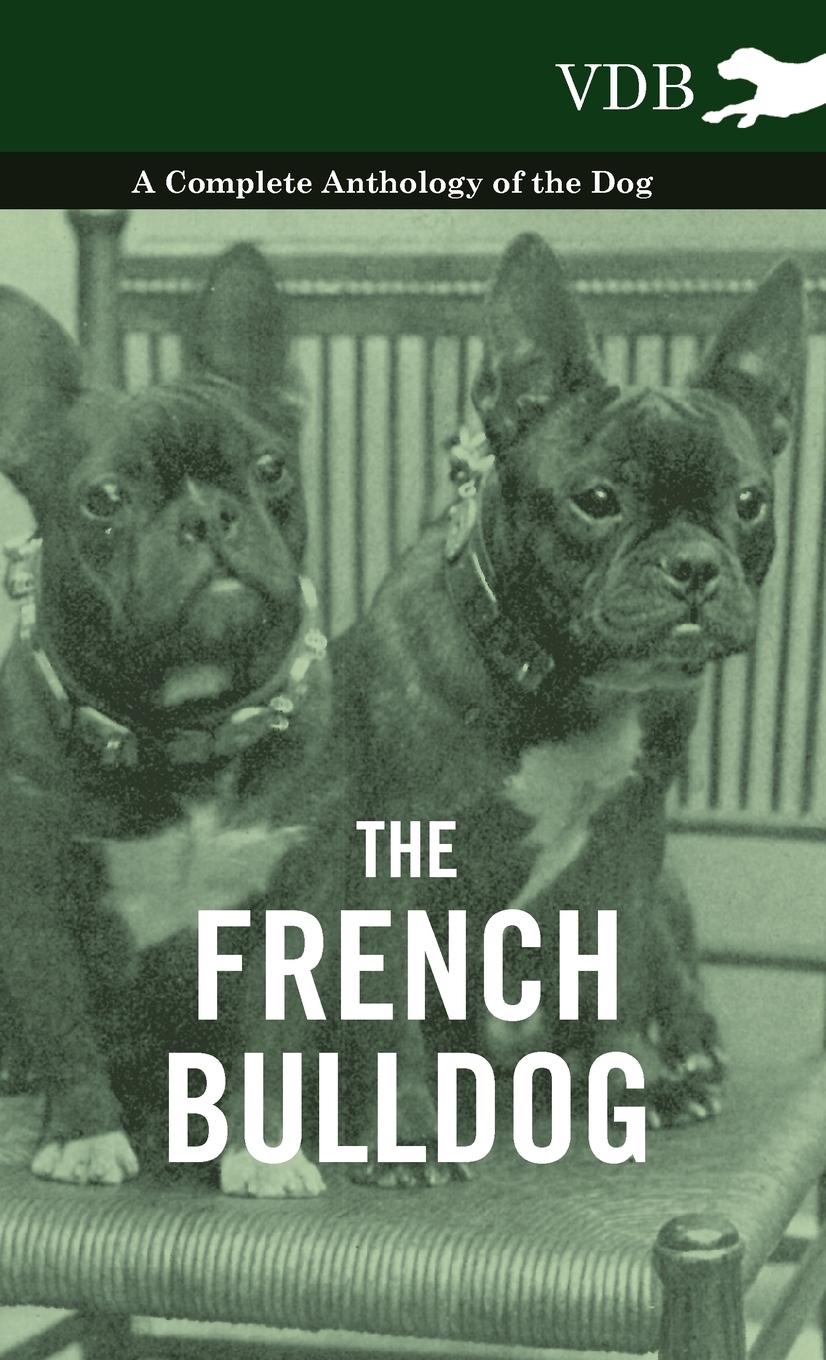 The French Bulldog - A Complete Anthology of the Dog | Various | Buch | HC gerader Rücken kaschiert | Englisch | 2010 | Vintage Dog Books | EAN 9781445527260 - Various