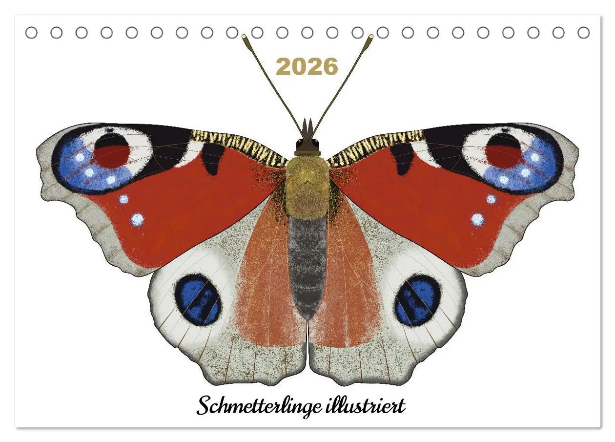 Cover: 9783457517260 | Schmetterlinge illustriert (Tischkalender 2026 DIN A5 quer),...