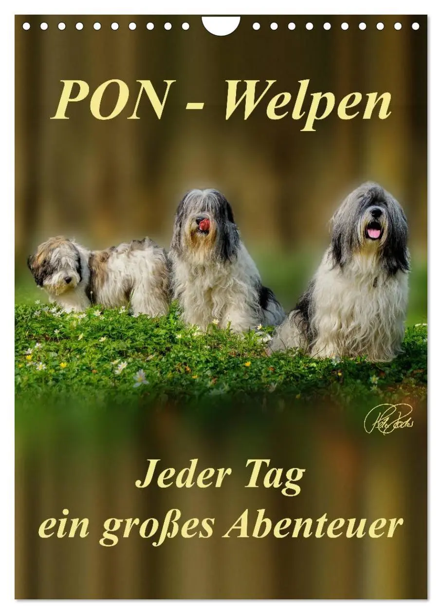 Cover: 9783516467260 | PON-Welpen - jeder Tag ein großes Abenteuer / Planer (Wandkalender...