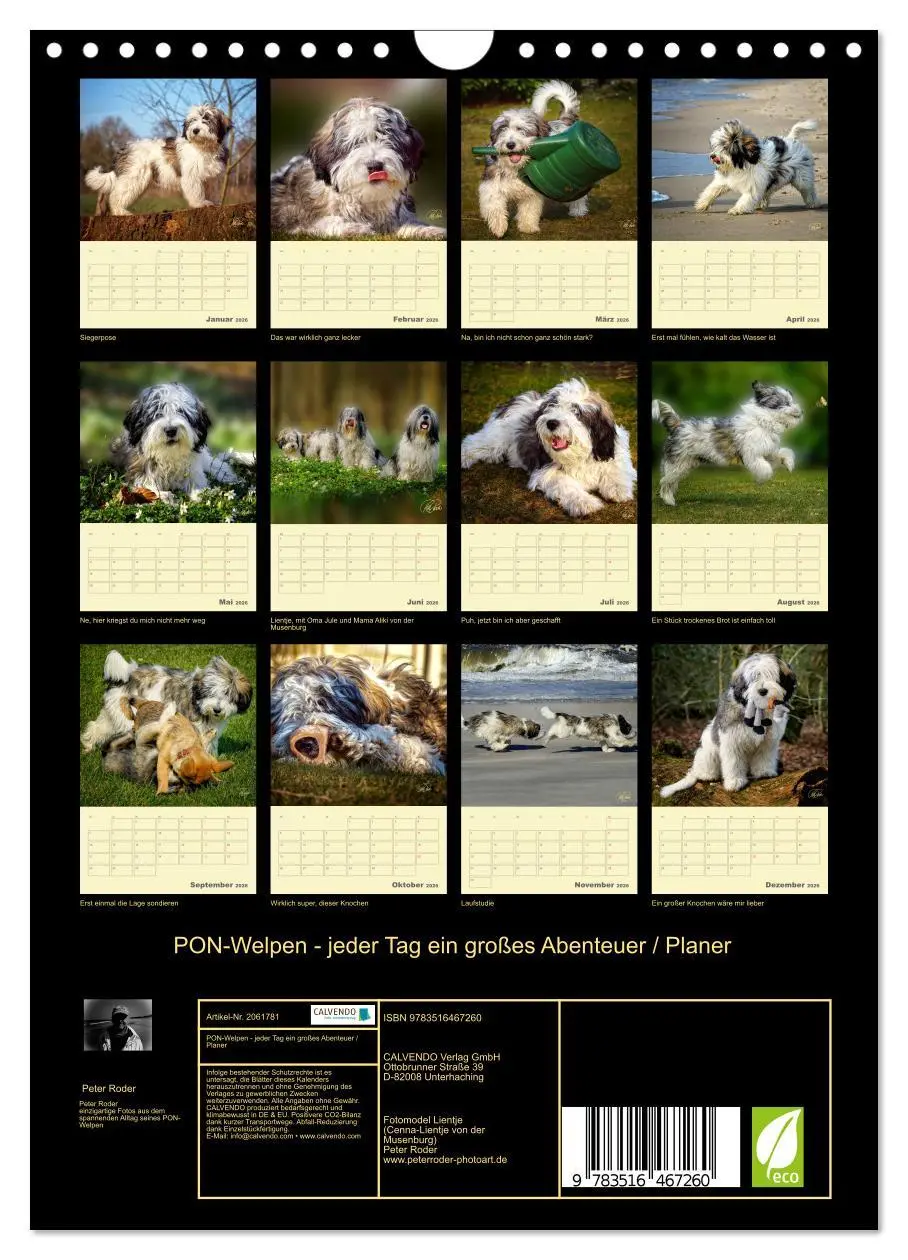 Bild: 9783516467260 | PON-Welpen - jeder Tag ein großes Abenteuer / Planer (Wandkalender...