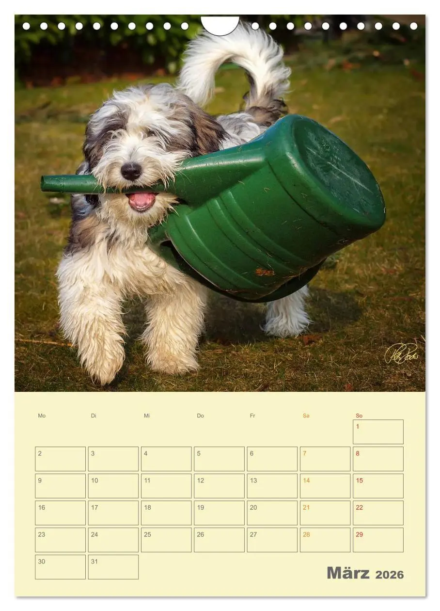 Bild: 9783516467260 | PON-Welpen - jeder Tag ein großes Abenteuer / Planer (Wandkalender...