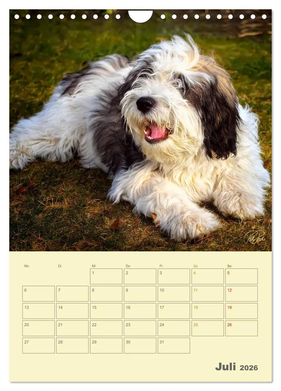 Bild: 9783516467260 | PON-Welpen - jeder Tag ein großes Abenteuer / Planer (Wandkalender...