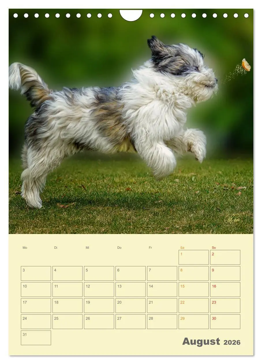 Bild: 9783516467260 | PON-Welpen - jeder Tag ein großes Abenteuer / Planer (Wandkalender...