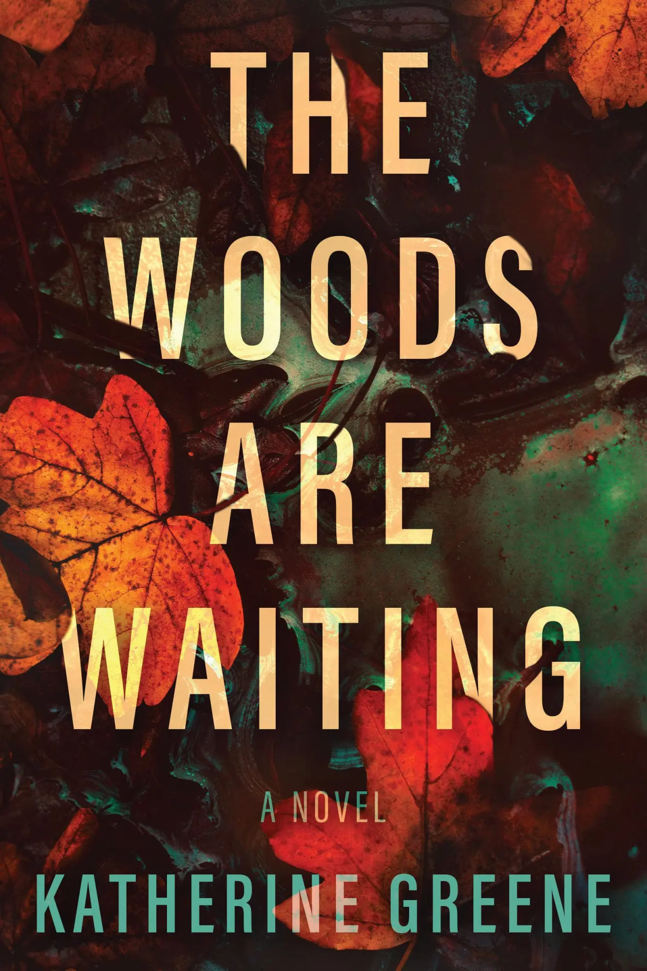 Cover: 9781639107360 | The Woods Are Waiting | Katherine Greene | Taschenbuch | Englisch