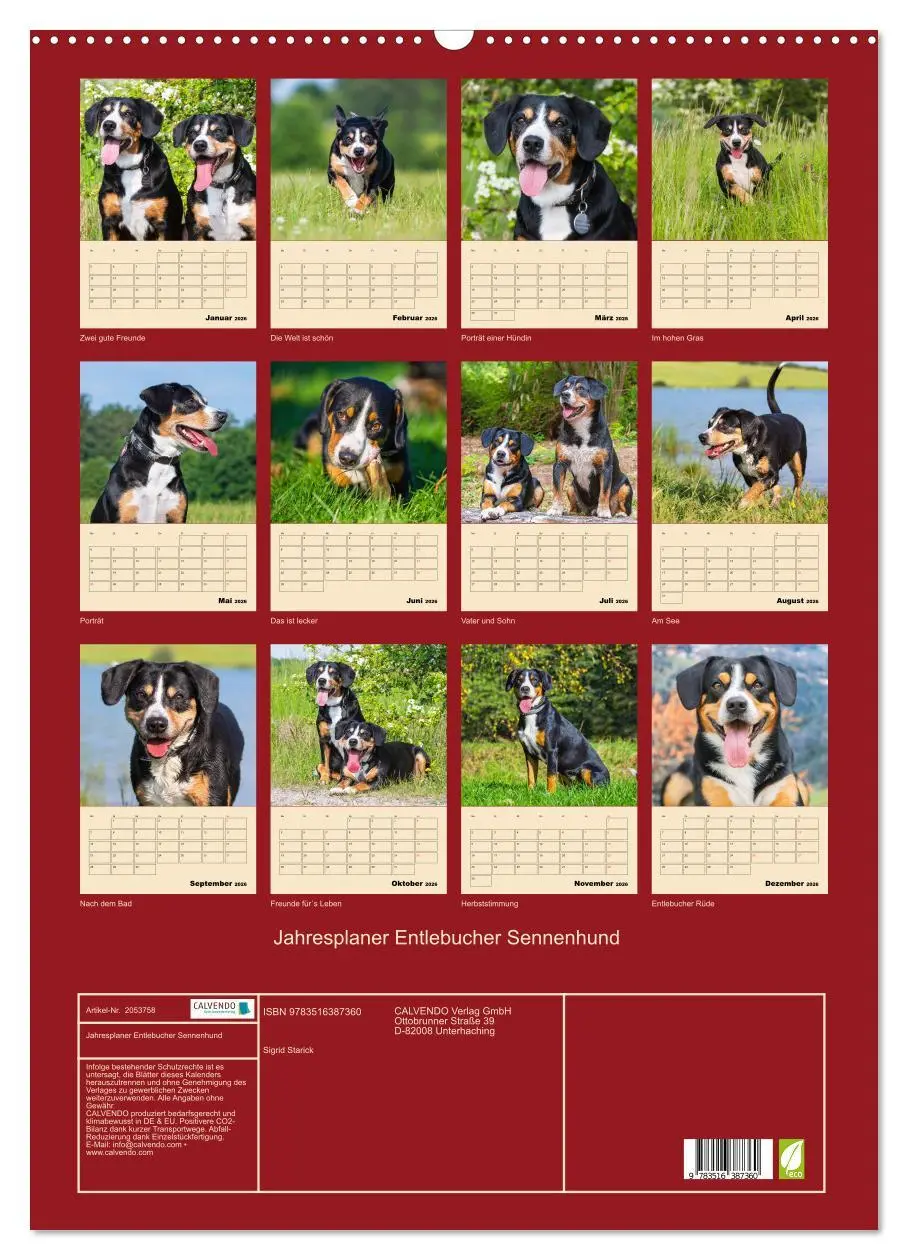 Bild: 9783516387360 | Jahresplaner Entlebucher Sennenhund (Wandkalender 2026 DIN A2...