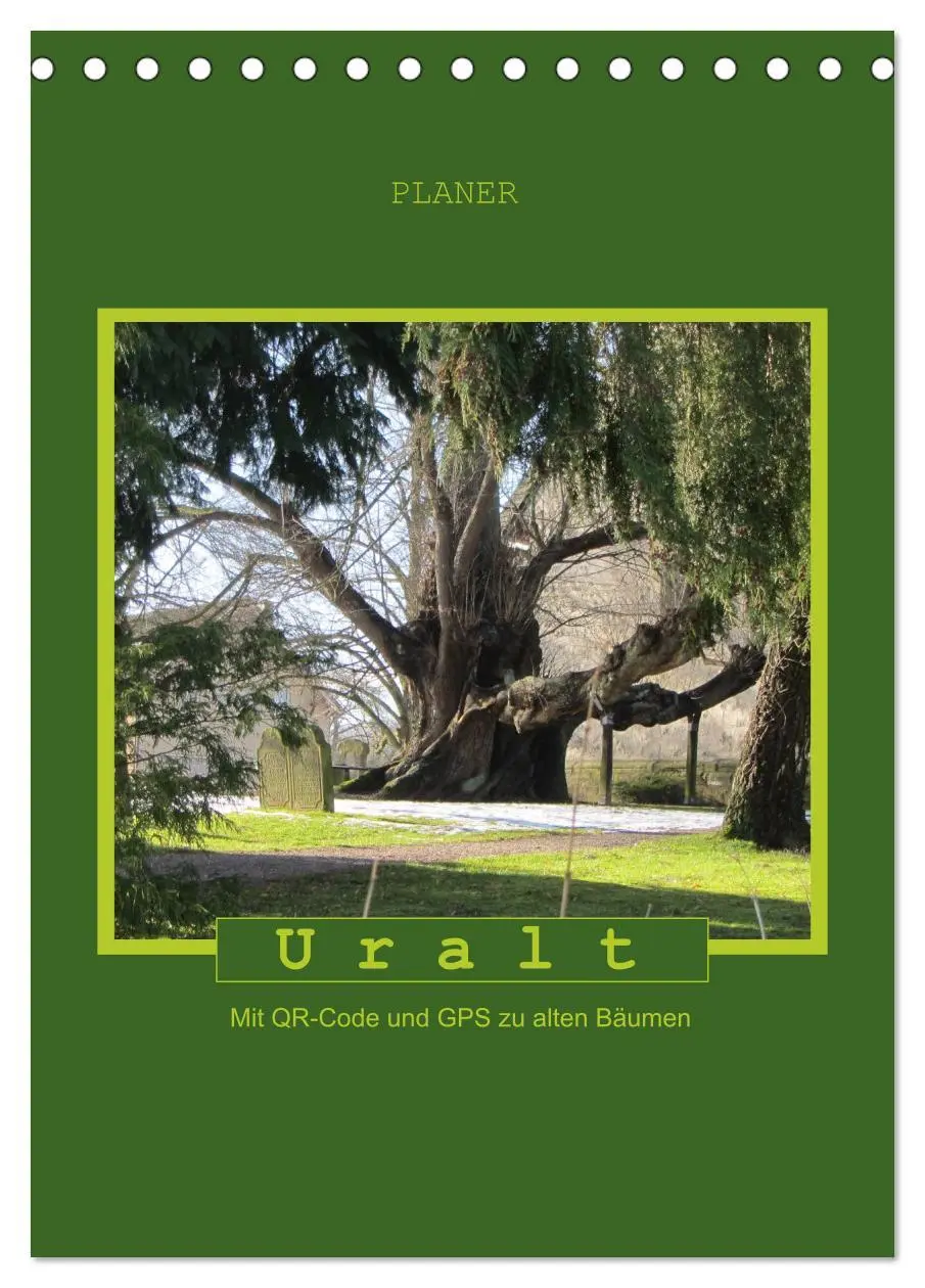 Cover: 9783516457360 | Uralt - Mit QR-Code und GPS zu alten Bäumen (Tischkalender 2026 DIN...