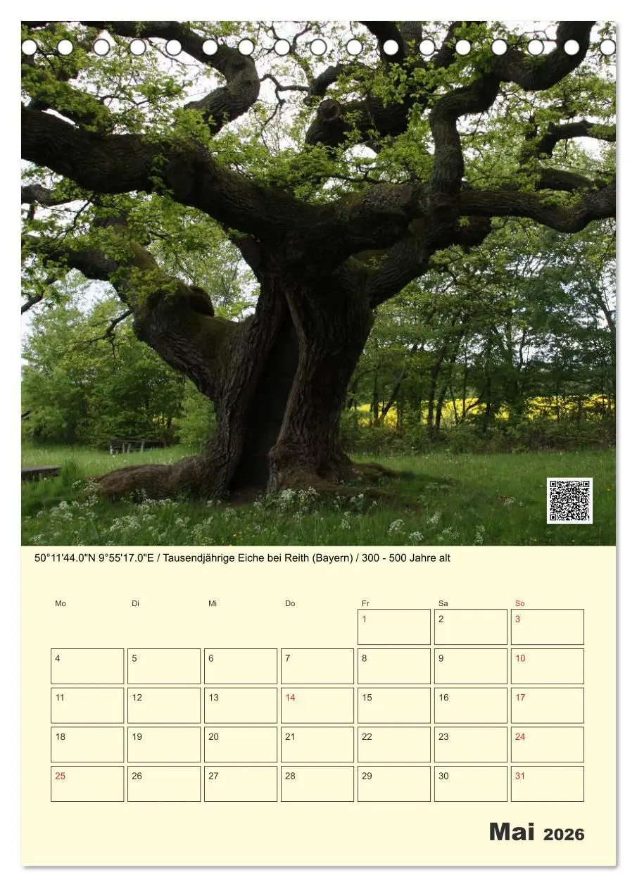 Bild: 9783516457360 | Uralt - Mit QR-Code und GPS zu alten Bäumen (Tischkalender 2026 DIN...