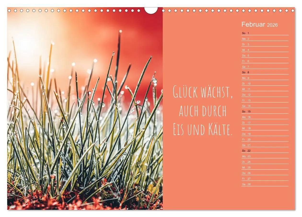 Bild: 9783516697360 | Eine Portion Glück - Motivationskalender fürs ganze Jahr...
