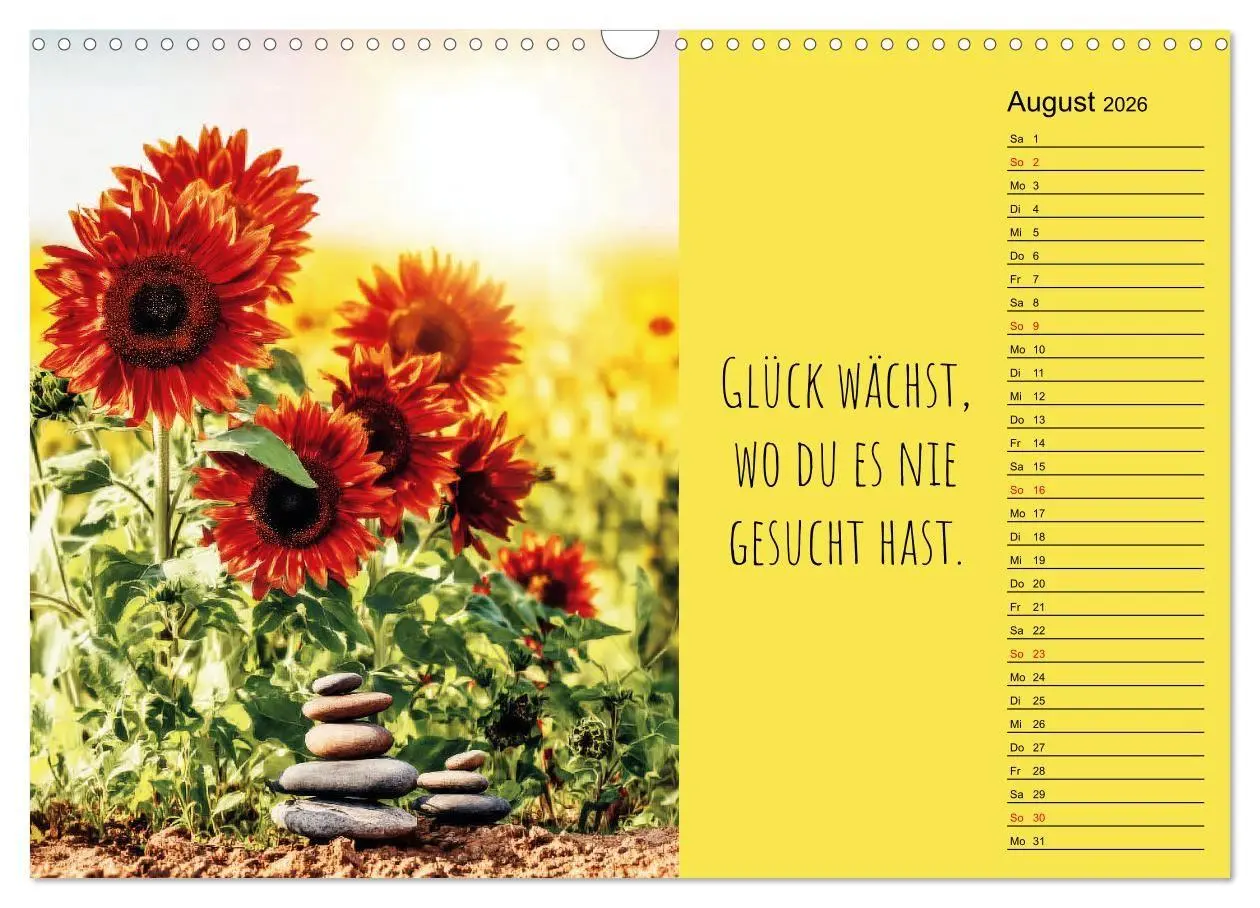 Bild: 9783516697360 | Eine Portion Glück - Motivationskalender fürs ganze Jahr...