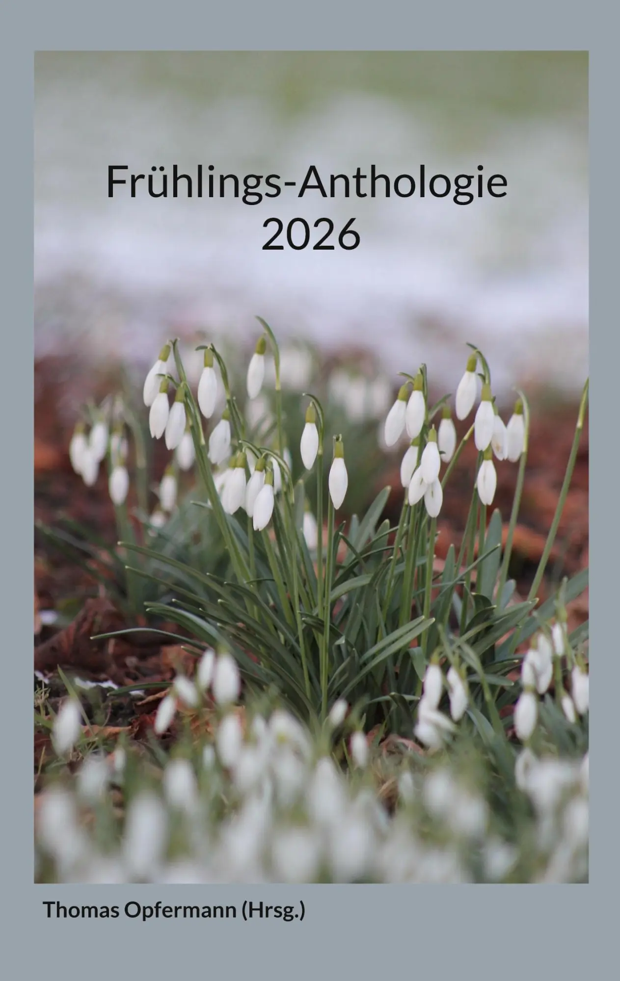 Cover: 9783695727360 | Frühlings-Anthologie 2026 | Thomas Opfermann | Taschenbuch | 176 S.