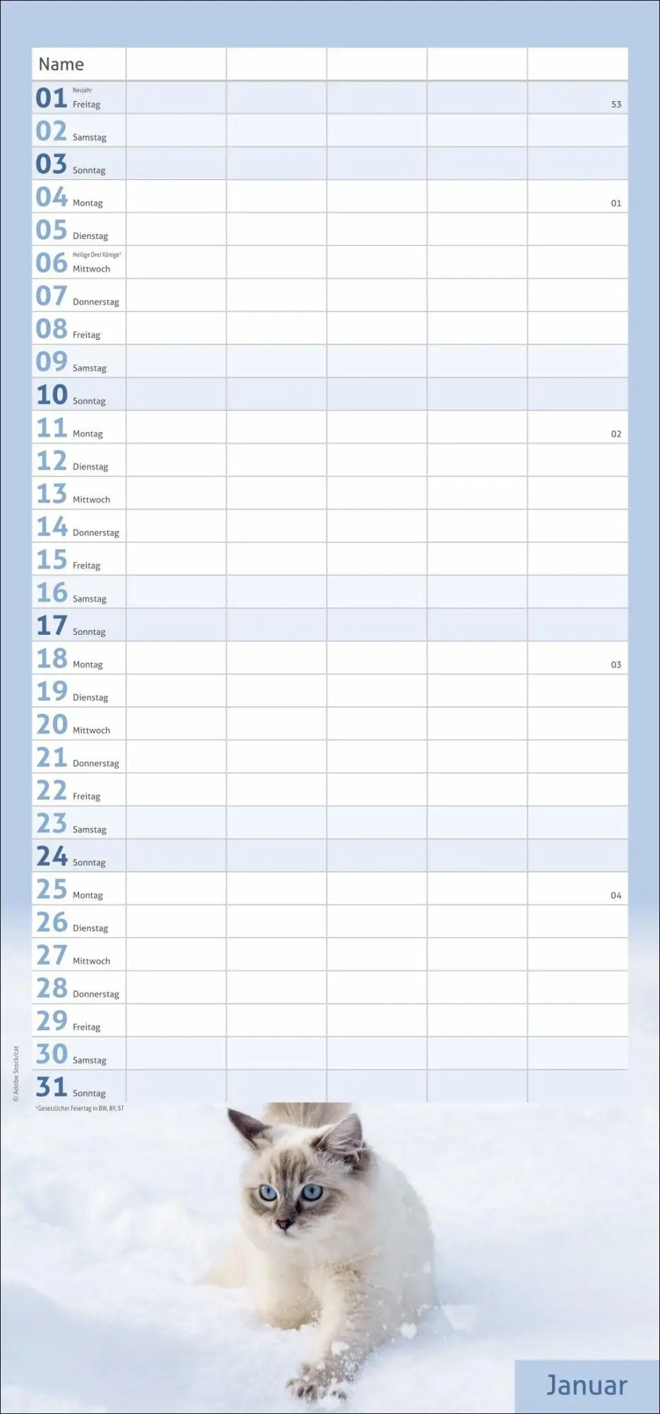 Bild: 9783756417360 | times&amp;more Katzen Familienplaner 2027 | Heye | Kalender | 13 S. | 2027