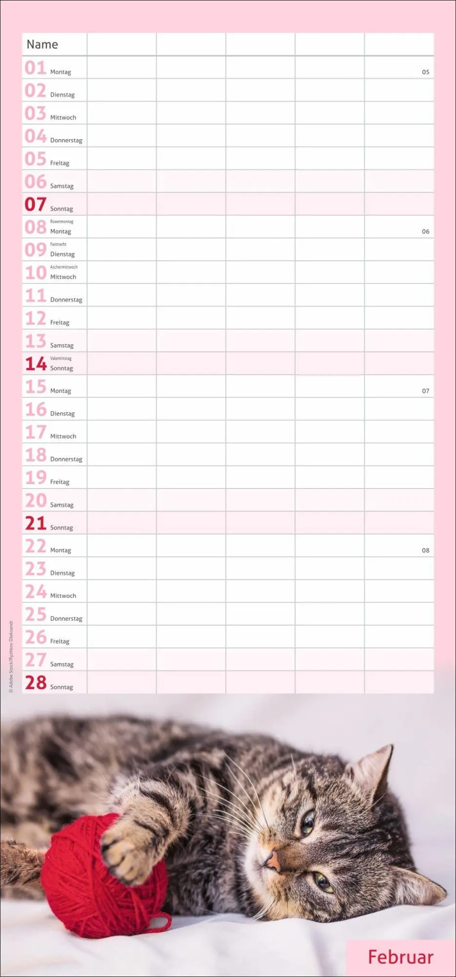 Bild: 9783756417360 | times&amp;more Katzen Familienplaner 2027 | Heye | Kalender | 13 S. | 2027