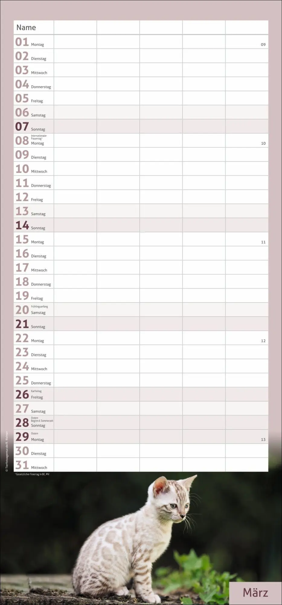 Bild: 9783756417360 | times&amp;more Katzen Familienplaner 2027 | Heye | Kalender | 13 S. | 2027