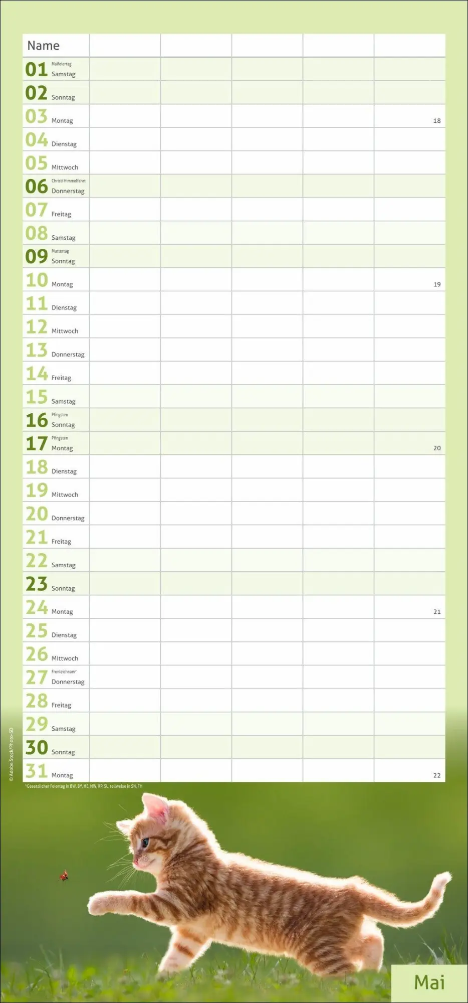 Bild: 9783756417360 | times&amp;more Katzen Familienplaner 2027 | Heye | Kalender | 13 S. | 2027