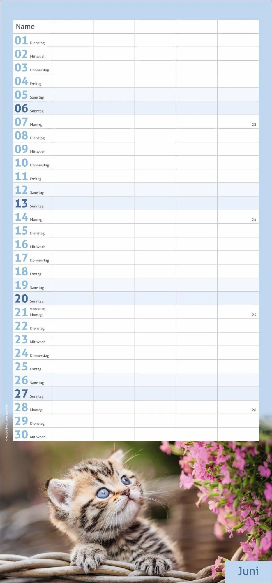 Bild: 9783756417360 | times&amp;more Katzen Familienplaner 2027 | Heye | Kalender | 13 S. | 2027
