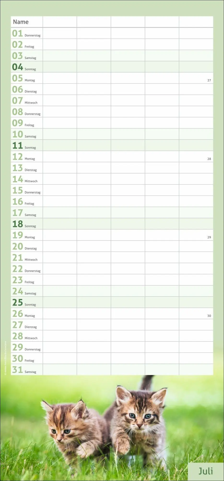 Bild: 9783756417360 | times&amp;more Katzen Familienplaner 2027 | Heye | Kalender | 13 S. | 2027