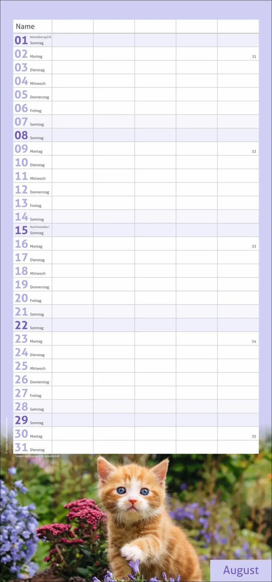 Bild: 9783756417360 | times&amp;more Katzen Familienplaner 2027 | Heye | Kalender | 13 S. | 2027