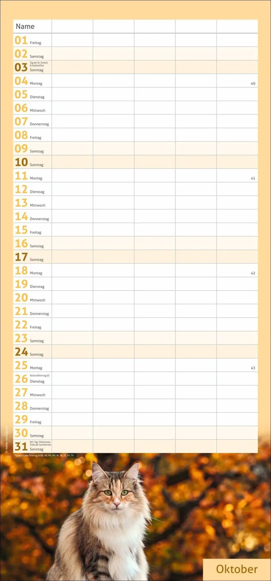 Bild: 9783756417360 | times&amp;more Katzen Familienplaner 2027 | Heye | Kalender | 13 S. | 2027