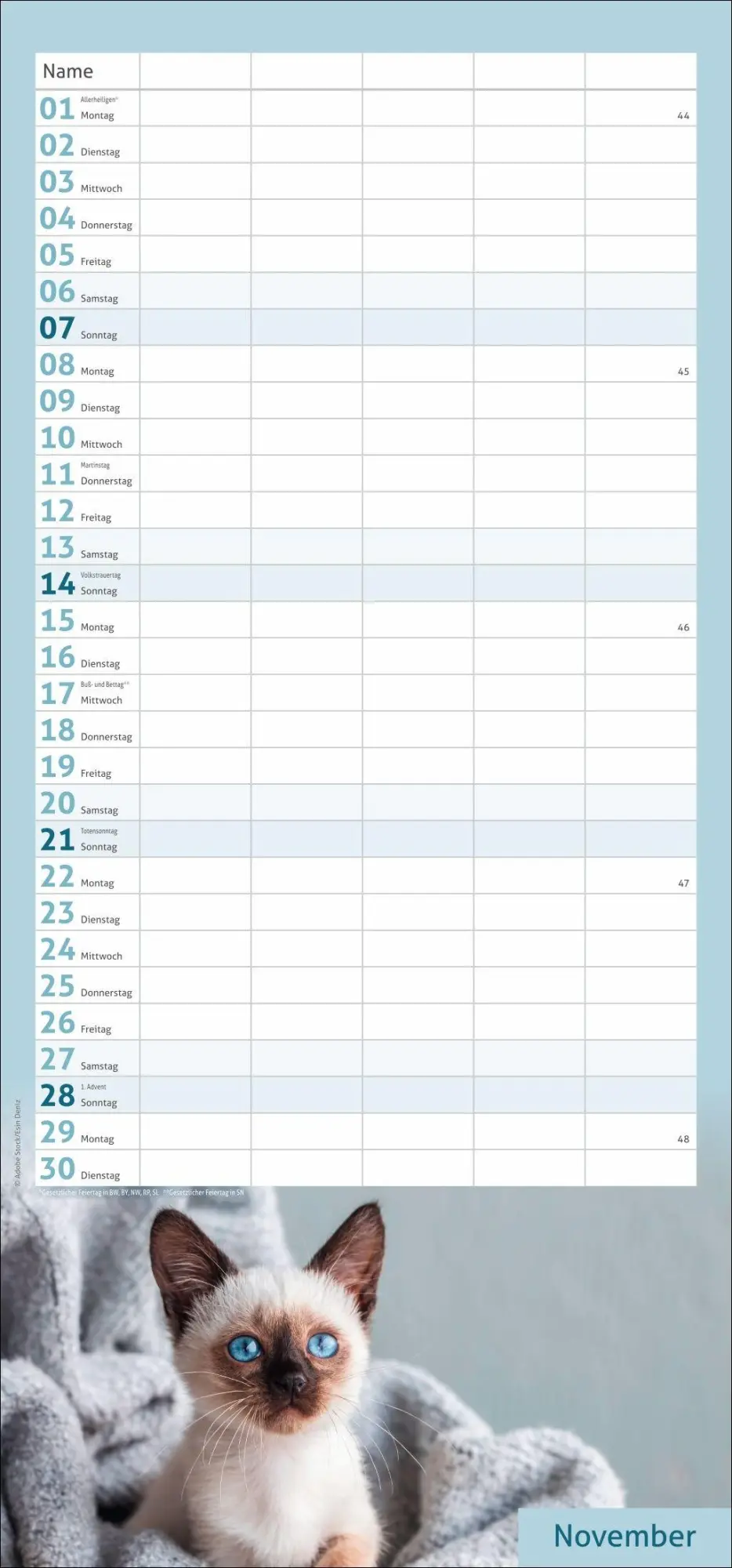Bild: 9783756417360 | times&amp;more Katzen Familienplaner 2027 | Heye | Kalender | 13 S. | 2027