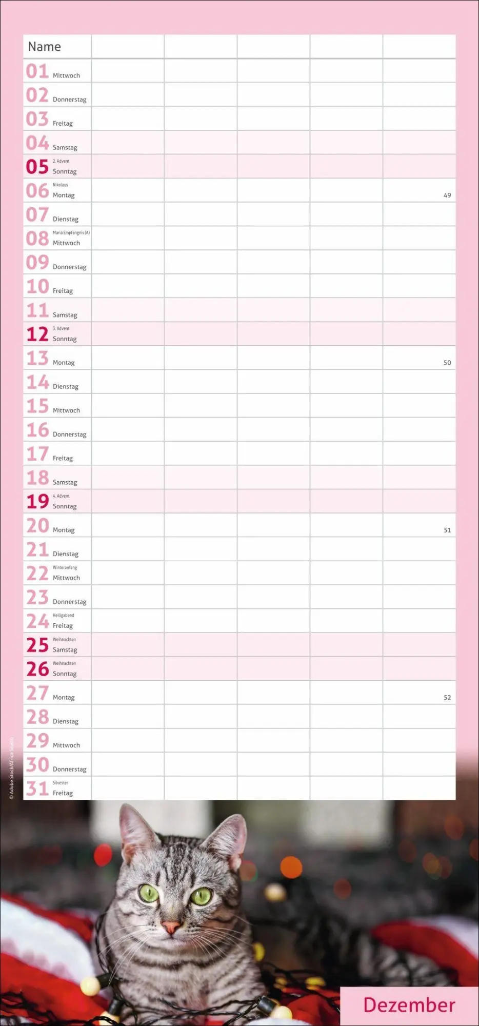 Bild: 9783756417360 | times&amp;more Katzen Familienplaner 2027 | Heye | Kalender | 13 S. | 2027