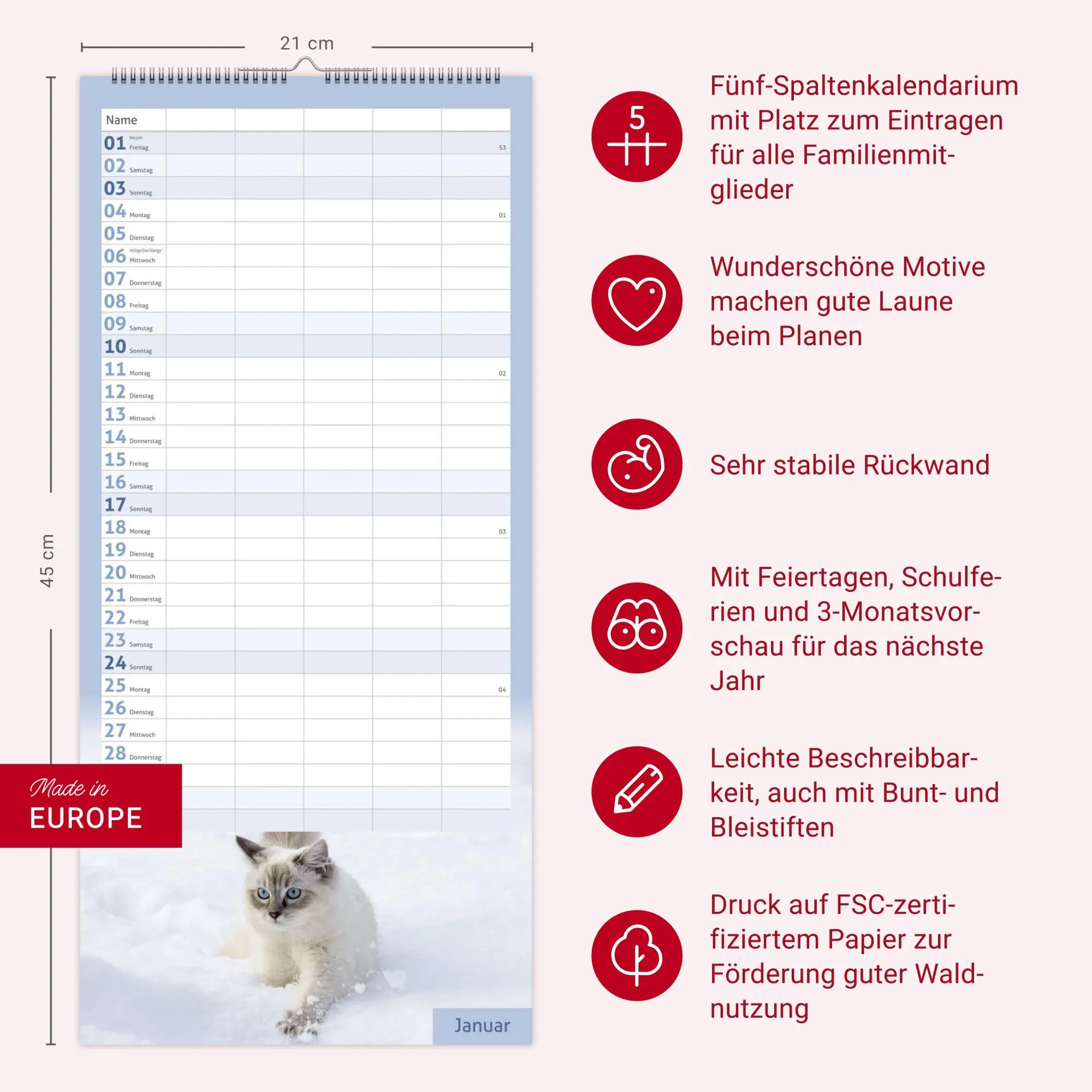 Bild: 9783756417360 | times&amp;more Katzen Familienplaner 2027 | Heye | Kalender | 13 S. | 2027