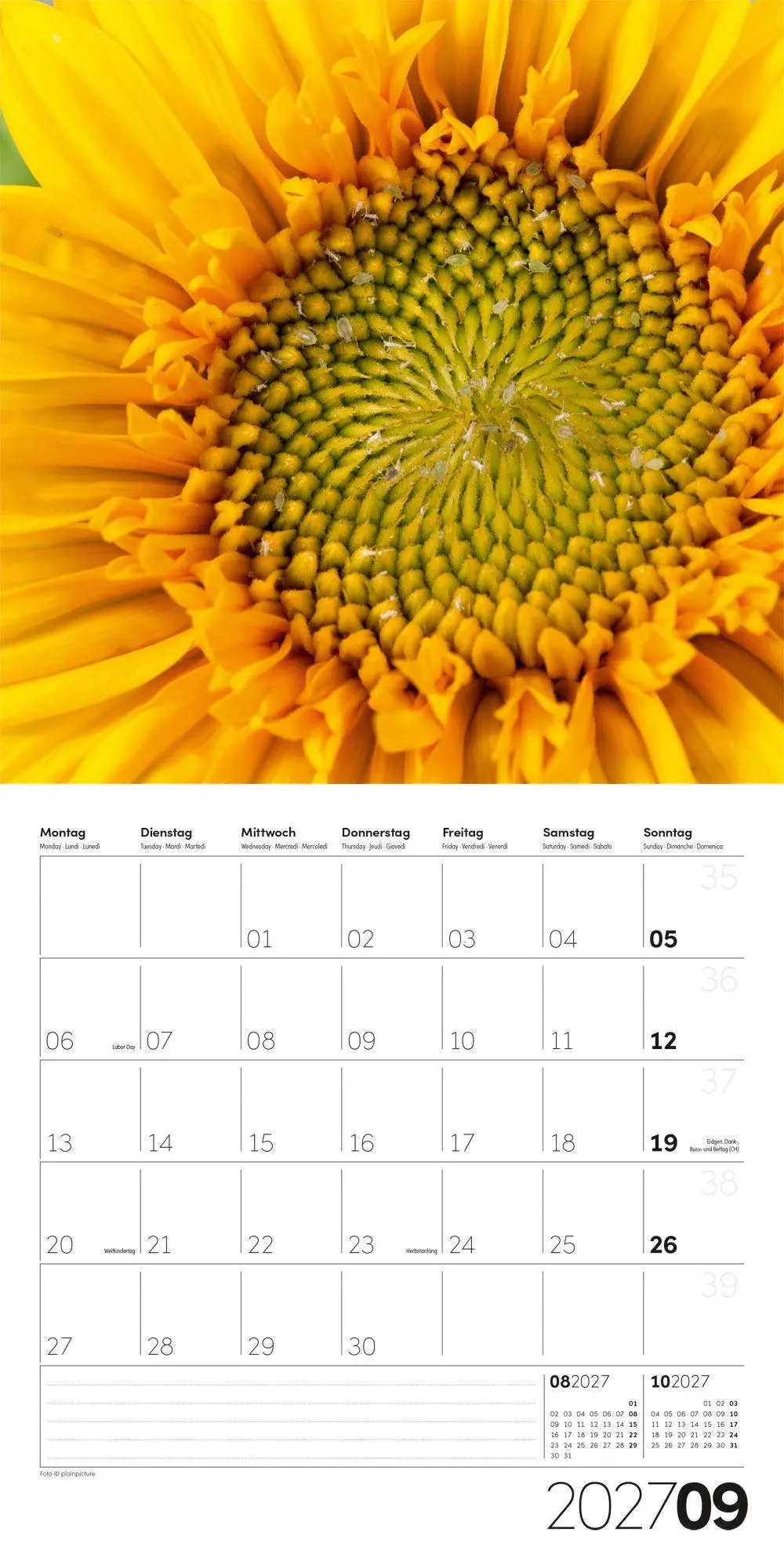 Bild: 9783838447360 | Die Farbe Gelb Kalender 2027 - 30x30 - Art12 | GmbH | Kalender | 28 S.