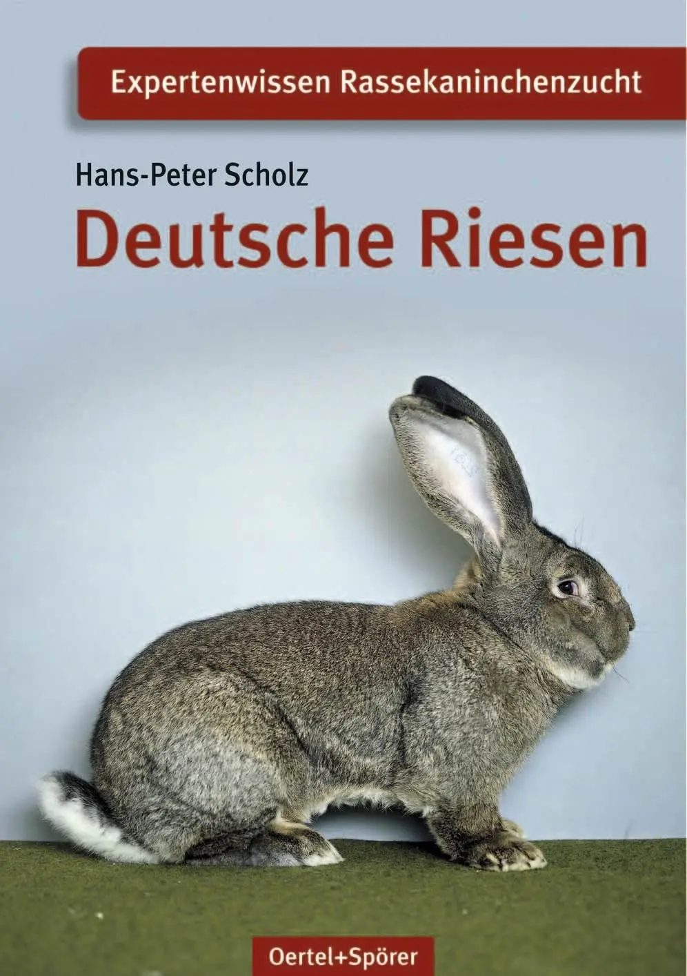 Cover: 9783886277360 | Deutsche Riesen | Hans-Peter Scholz | Broschüre | 32 S. | Deutsch
