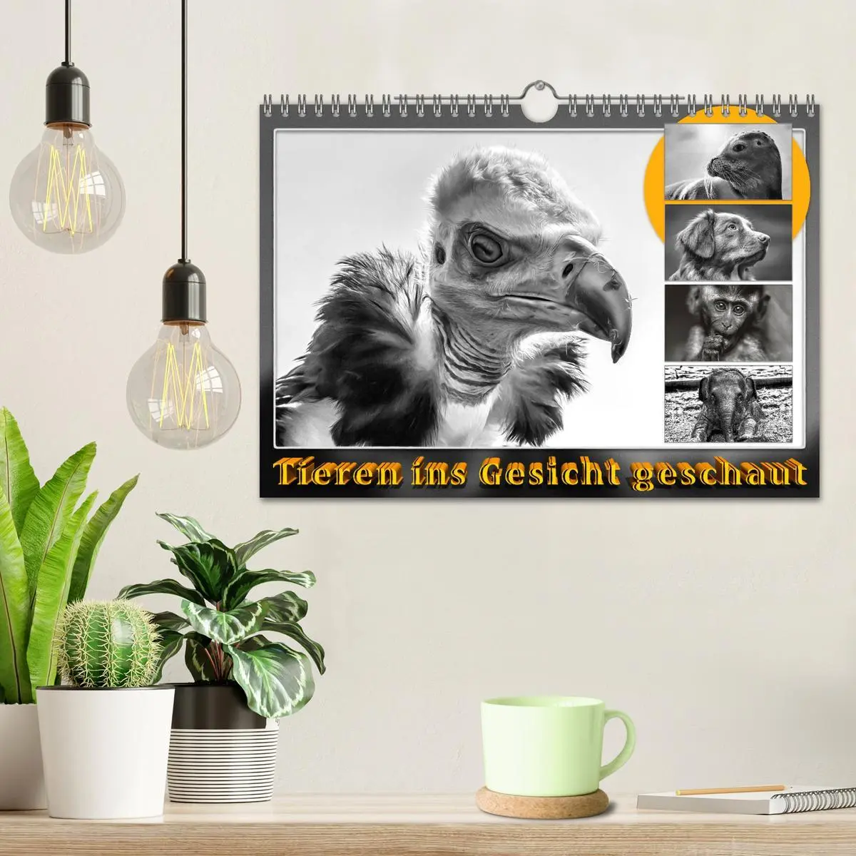 Bild: 9783457807460 | Tieren ins Gesicht geschaut (Wandkalender 2026 DIN A4 quer),...