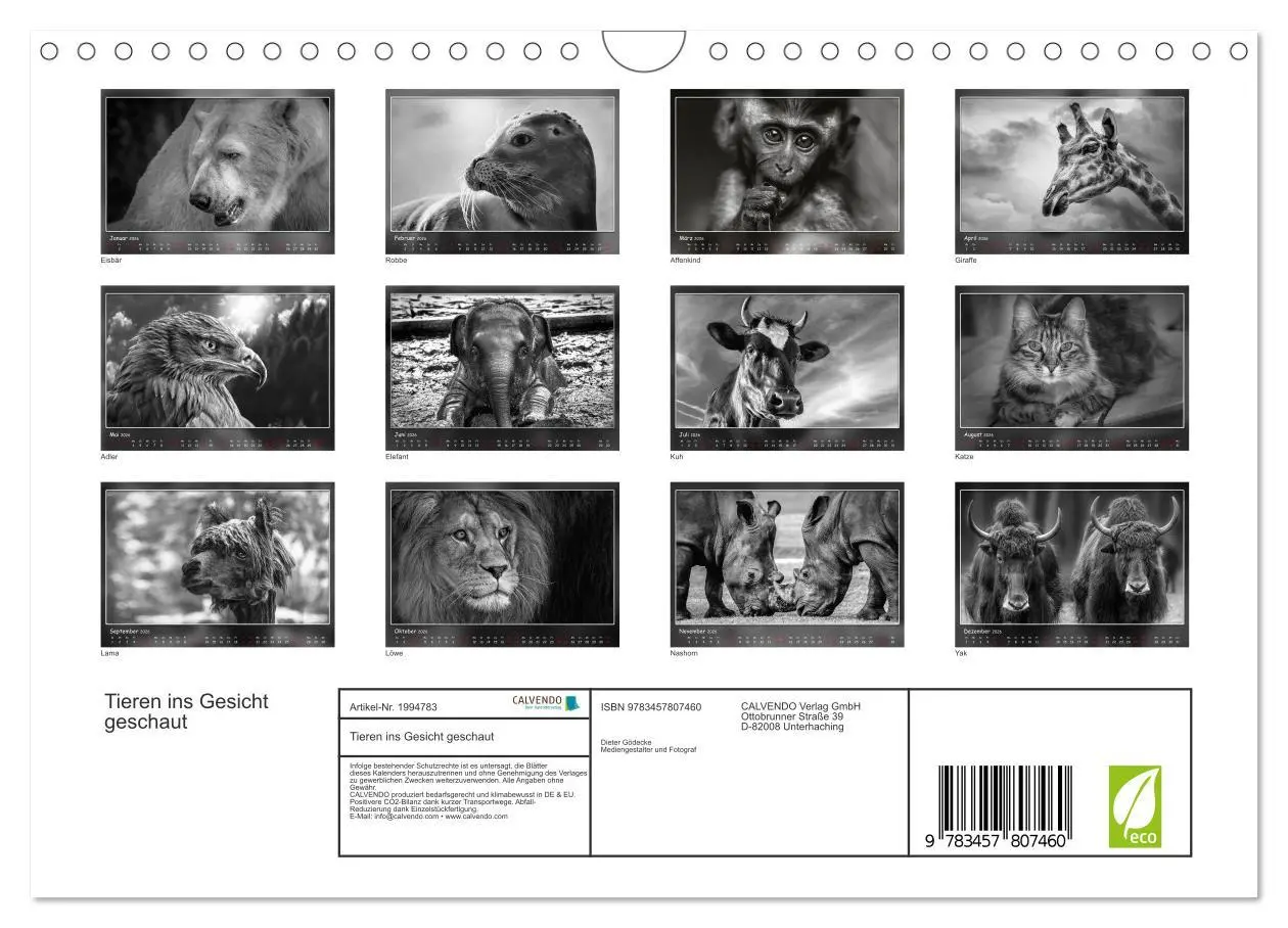 Bild: 9783457807460 | Tieren ins Gesicht geschaut (Wandkalender 2026 DIN A4 quer),...
