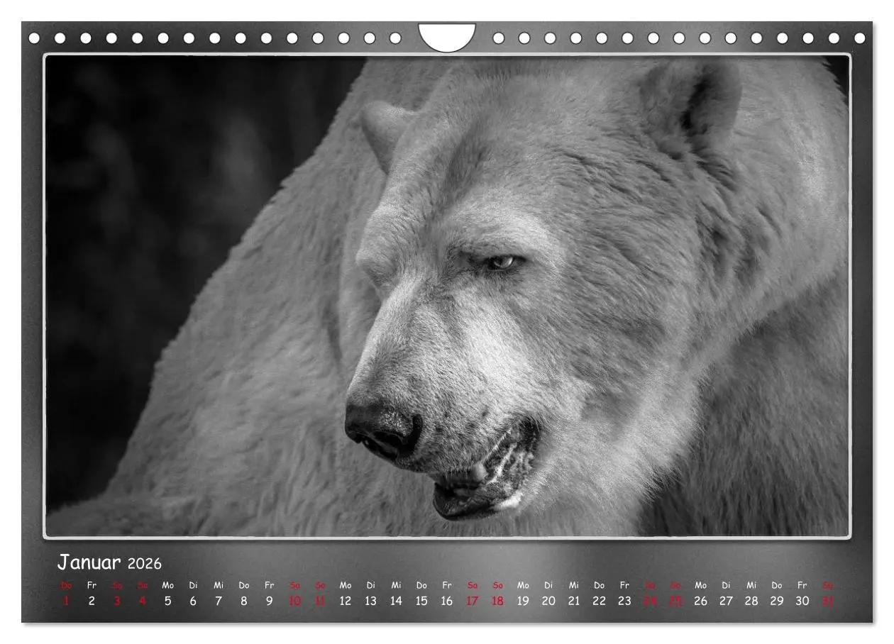 Bild: 9783457807460 | Tieren ins Gesicht geschaut (Wandkalender 2026 DIN A4 quer),...