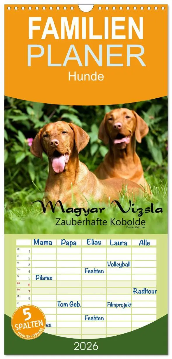 Cover: 9783516517460 | Familienplaner 2026 - Magyar Vizsla - Zauberhafte Kobolde mit 5...