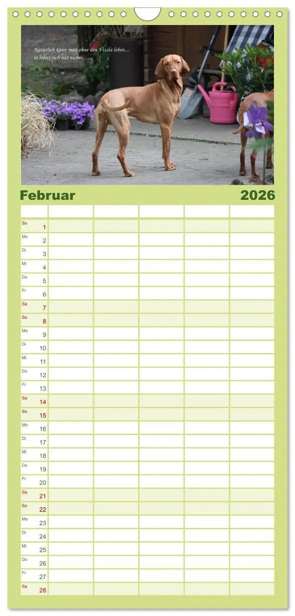 Bild: 9783516517460 | Familienplaner 2026 - Magyar Vizsla - Zauberhafte Kobolde mit 5...