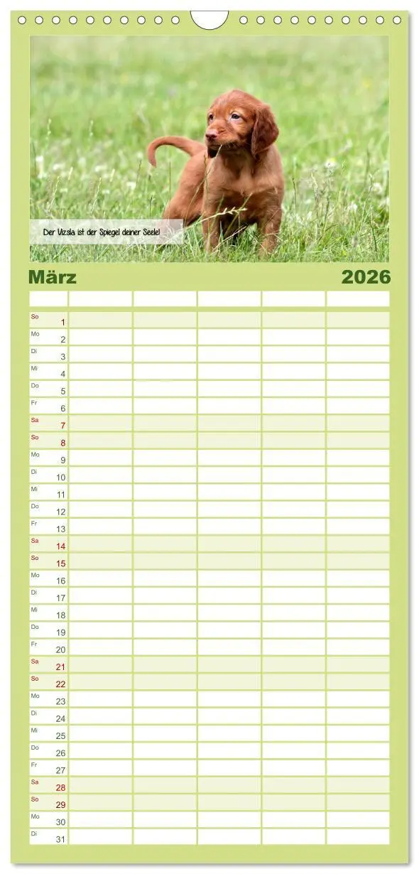Bild: 9783516517460 | Familienplaner 2026 - Magyar Vizsla - Zauberhafte Kobolde mit 5...