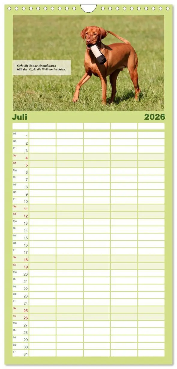 Bild: 9783516517460 | Familienplaner 2026 - Magyar Vizsla - Zauberhafte Kobolde mit 5...