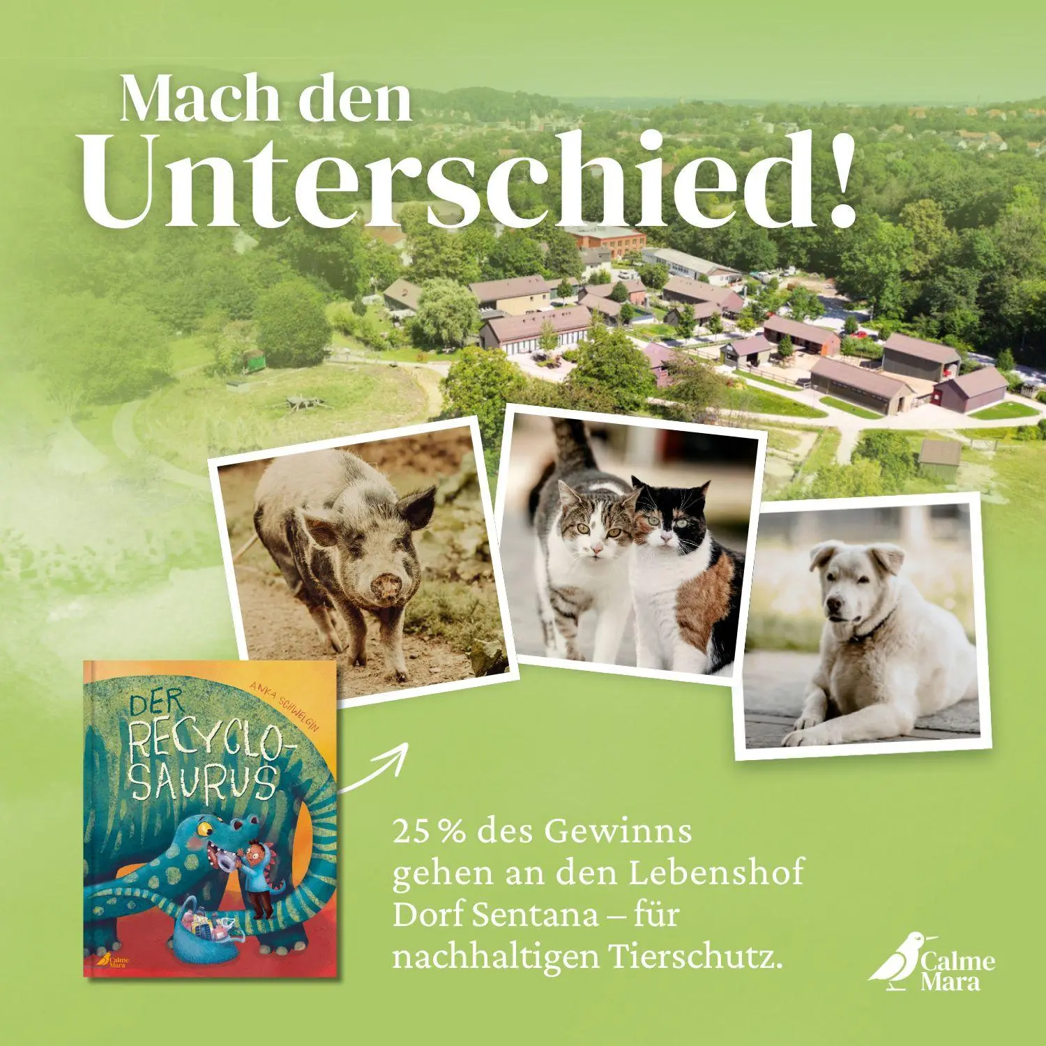 Bild: 9783948877460 | Der Recyclosaurus | Anka Schwelgin | Buch | 36 S. | Deutsch | 2024