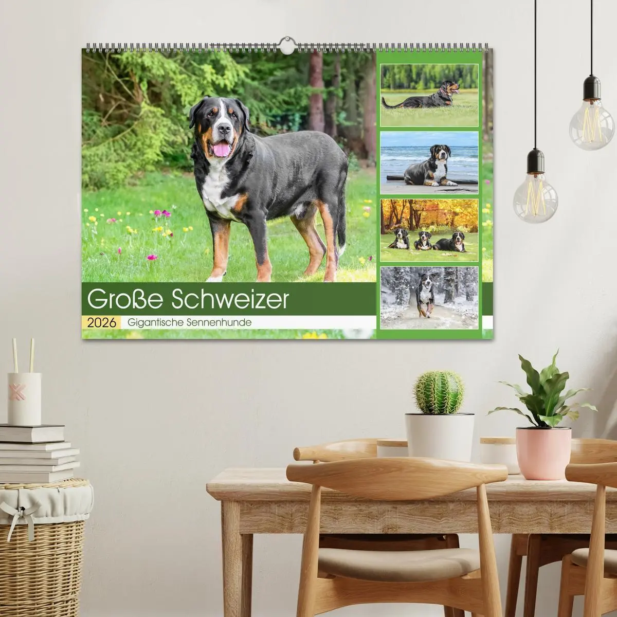 Bild: 9783457347560 | Große Schweizer - Gigantische Sennenhunde (Wandkalender 2026 DIN A2...