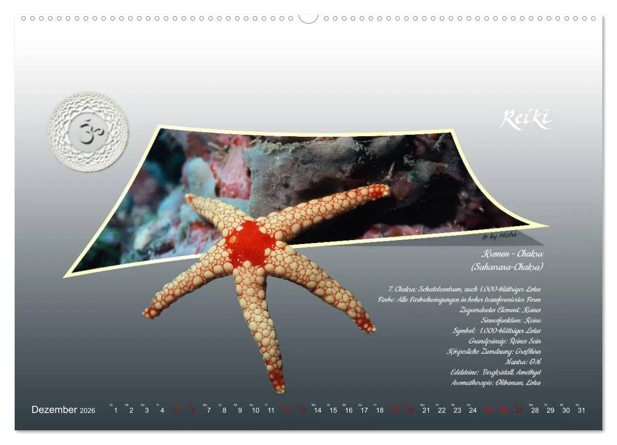 Bild: 9783457727560 | REIKI - Chakren und Lebensregeln (hochwertiger Premium Wandkalender...