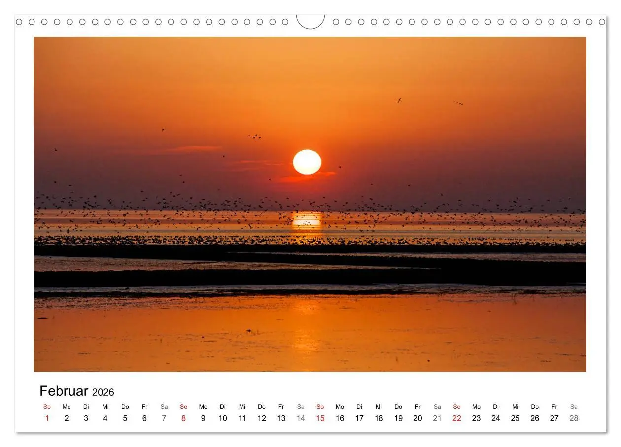 Bild: 9783457967560 | Ostfriesland - Tour (Wandkalender 2026 DIN A3 quer), CALVENDO...