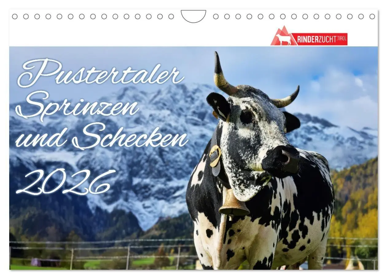 Cover: 9783516747560 | Pustertaler Sprinzen und Schecken 2026 (Wandkalender 2026 DIN A4...