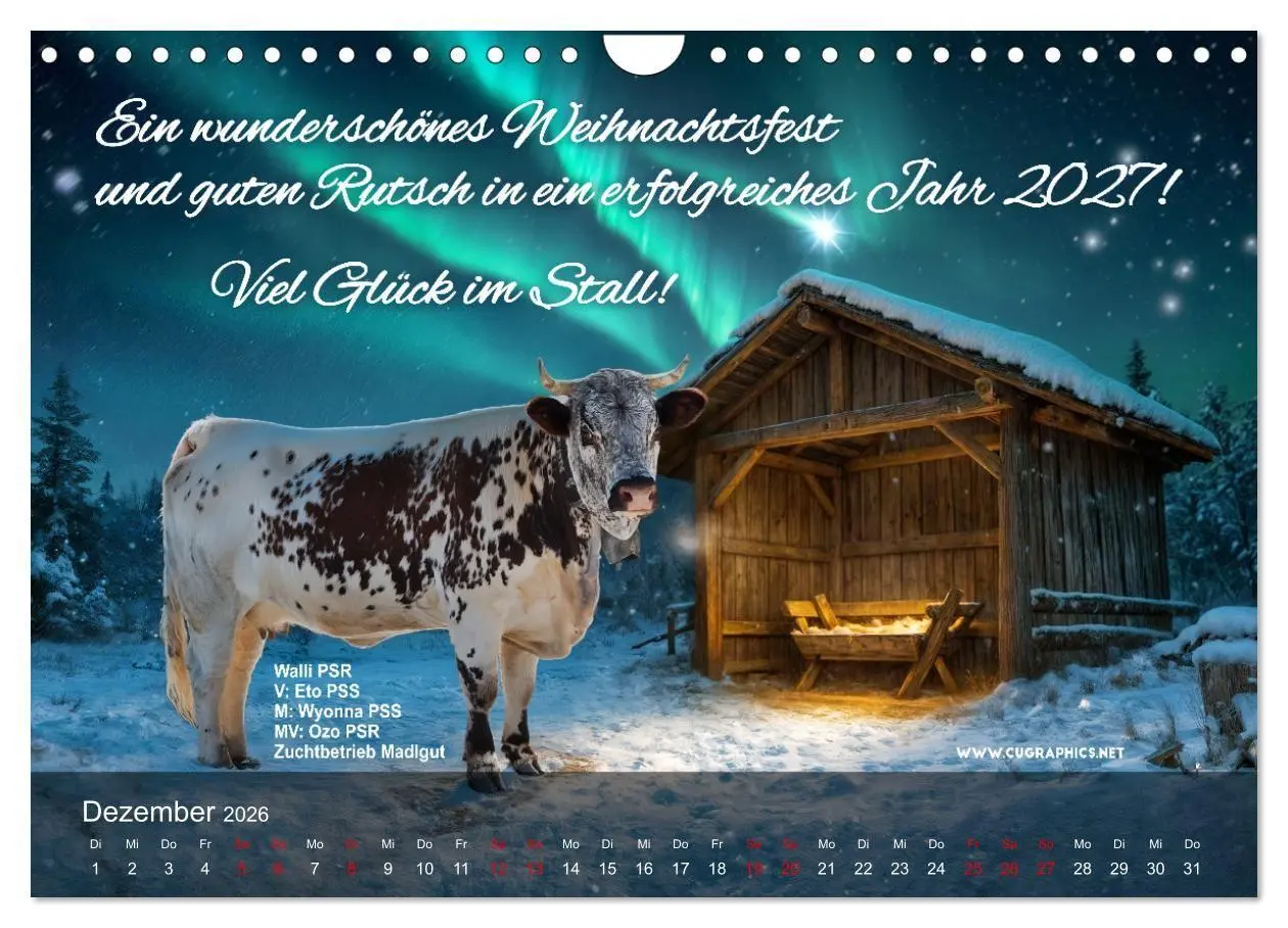 Bild: 9783516747560 | Pustertaler Sprinzen und Schecken 2026 (Wandkalender 2026 DIN A4...