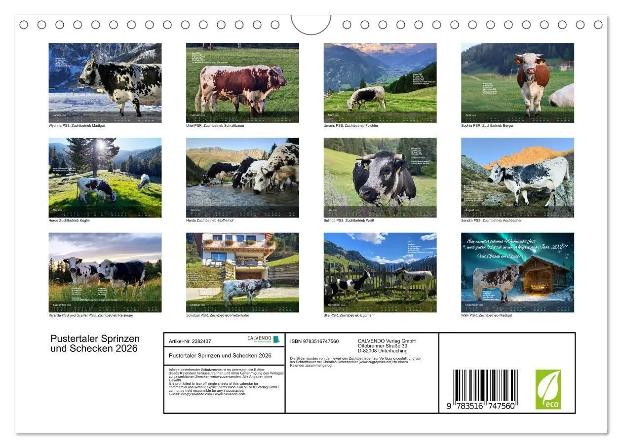 Bild: 9783516747560 | Pustertaler Sprinzen und Schecken 2026 (Wandkalender 2026 DIN A4...