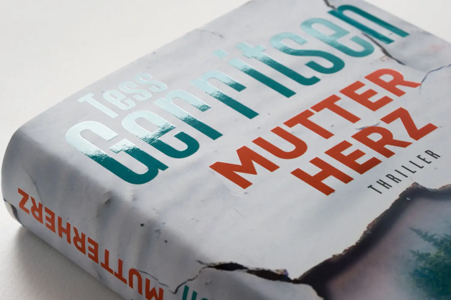 Bild: 9783809027560 | Mutterherz | Thriller | Tess Gerritsen | Buch | 384 S. | Deutsch