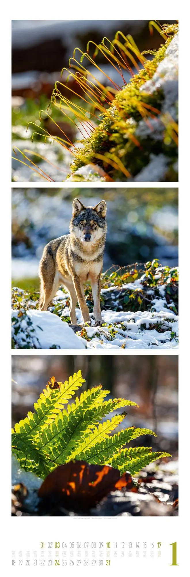 Bild: 9783838427560 | Nature Triplet-Kalender 2027 | Ackermann Kunstverlag GmbH | Kalender